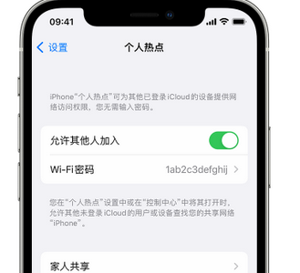 凤台apple服务站点分享iPhone上个人热点丢失了怎么办 