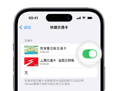 凤台apple维修点分享iPhone上更换Apple Pay快捷交通卡手绘卡面 