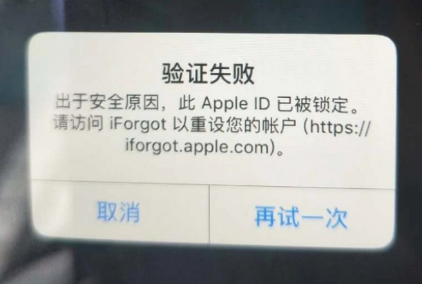 凤台iPhone维修分享iPhone上正常登录或使用AppleID怎么办 