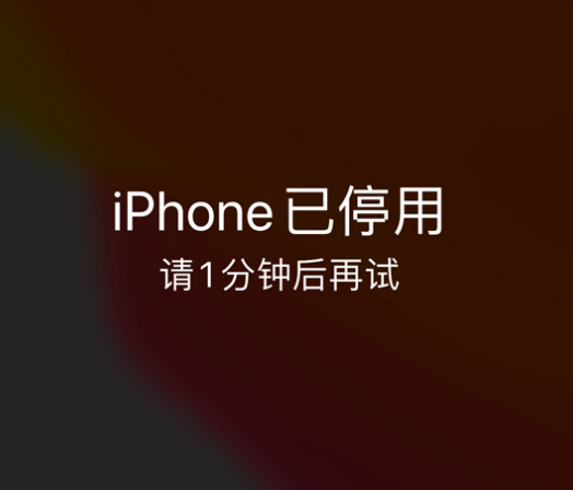 凤台苹果手机维修分享:iPhone 显示“不可用”或“已停用”怎么办？还能保留数据吗？ 