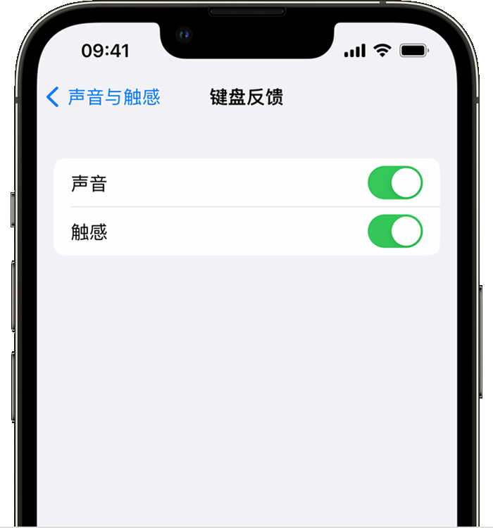 凤台苹果14维修店分享如何在 iPhone 14 机型中使用触感键盘 