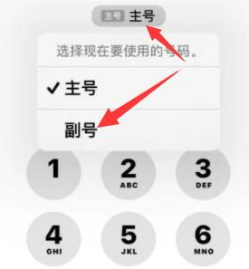 凤台苹果14维修店分享iPhone 14 Pro Max使用副卡打电话的方法 