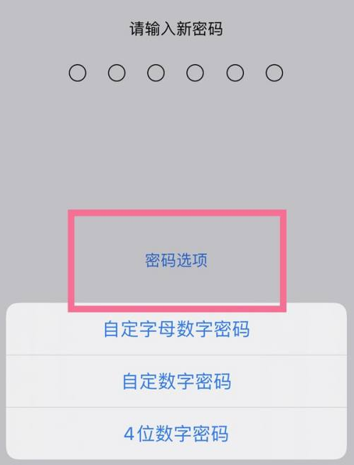 凤台苹果14维修分享iPhone 14plus设置密码的方法 