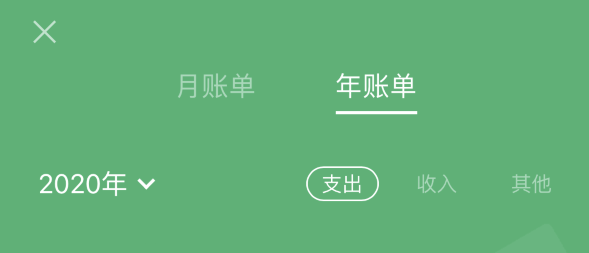 凤台苹果手机维修分享如何在 iPhone 上查看支付宝和微信年支出账单 